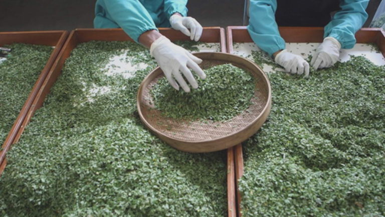 India to Invest $135m in Indonesia's Pharmaceutical Industry